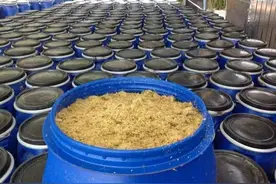 如何制作养鱼用的发酵饲料？要注意什么？我的养殖经验分享图片