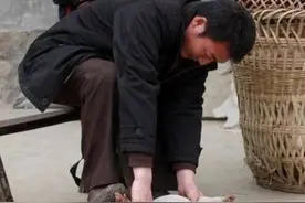 “骟匠”——镇雄农村已经消失了的手艺人图片