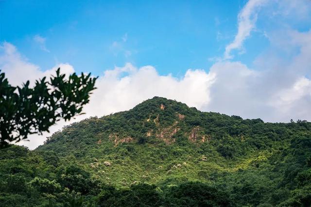 深圳值得征服的10座山，你去过几座？