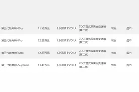 第三代哈弗H6购车手册来了，到底哪个版本更值得选择？图片