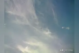 信鸽纪录片，鸽子在蓝天飞翔还有几只夜鹭图片