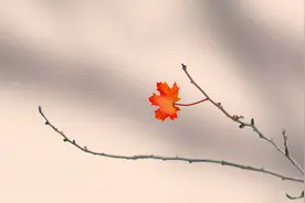 女人说爱你，却不主动找你，原因有三个图片