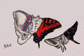 灵魂画手！协和医学生手绘器官解剖图，极具艺术美感，走红网络！图片