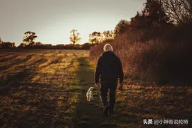 如何选购电动轮椅？老人购买电动轮椅的三大要点图片