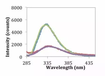 荧光蛋白与发荧光的蛋白，不一样