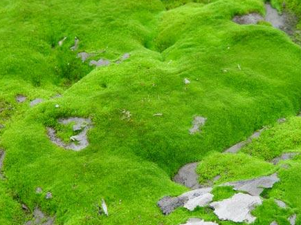 高中生物学习经验分享