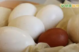 鹅蛋多吃能助孕？　营养师一句话解析图片