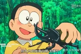 让我们一起养只独角仙吧～图片