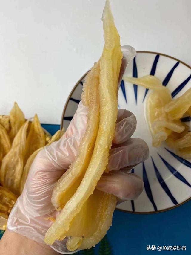 北海双背鱼胶的功效 2026年双背鱼胶是北海鱼胶吗