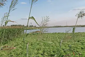 我的水上乐园图片