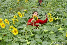 狮山公园为啥突然火了？促销新模式：种花图片