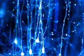 育儿笔记第三十一篇：“早教没有用，还不如带她到处去玩！”图片