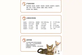 养猫8大智商税图片