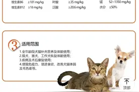 养猫8大智商税图片