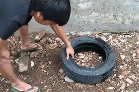 不顾反对，他用红砖和旧轮胎造了个鱼池，完工后引来6万人点赞图片