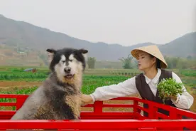 千万粉网红翻车，被扒绑野生保护动物摆拍，是云南保山宣传大使图片