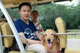 江苏首只导盲犬退休啦，原来只有曾寄养家庭放弃，别人才能领养图片
