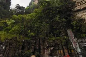 张家界～（百龙天梯＋袁家界＋天子山＋十里画廊）图片