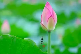 俗语“过了夏至节，夫妻各自歇”，不仅是说法，其中还有深刻道理图片