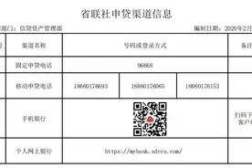 山东省农村商业银行新冠肺炎疫情防控期间金融支持政策操作指引图片