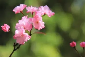 一个人总是不回复你的消息，往往是如此原因图片