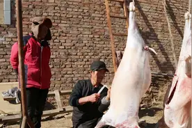 文物贩子造假多残忍？将玉塞进活羊体内，3年后杀羊取玉再卖天价图片
