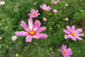 好好活着，就有办法图片