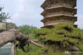 袁振科/文 邂逅戒台寺图片