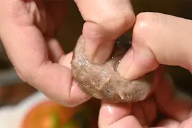 Q弹爆汁，弹地三米，这样的丸子你吃过吗图片