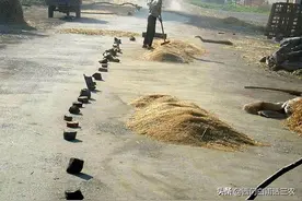 公路晒粮，司机小车压了村民的花生，一个花生要赔20元，该赔吗？图片