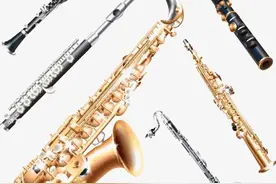 东方儒牛：中老年人学乐器，应该选吹奏类还是拉弦类？图片