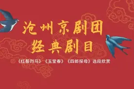 “云”端品国粹 | 沧州京剧团经典剧目《红鬃烈马》《四郎探母》《玉堂春》选段欣赏图片