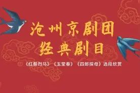 “云”端品国粹 | 沧州京剧团经典剧目《红鬃烈马》《四郎探母》《玉堂春》选段欣赏图片