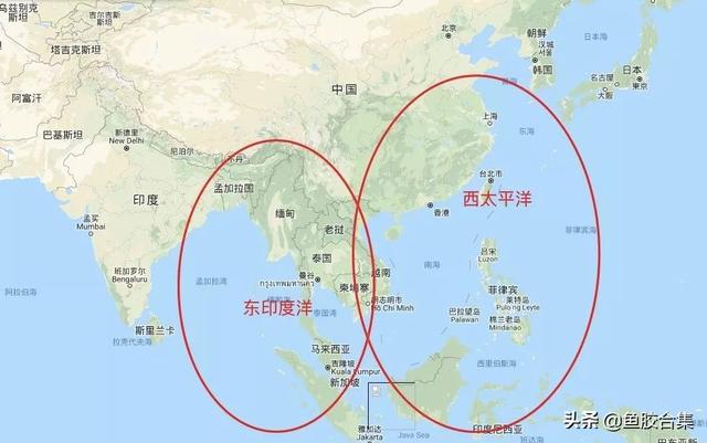 白花胶是什么鱼的鱼鳔 2026年白花胶是什么胶