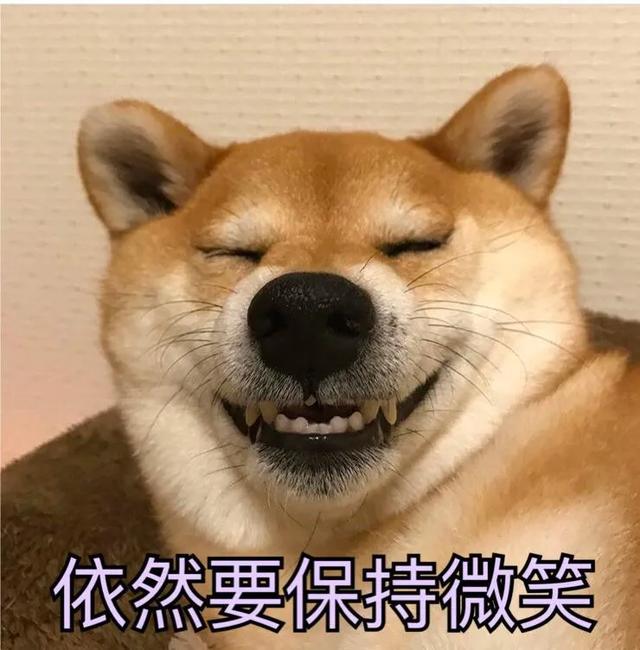 һֻҪǮ
