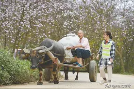 别人家的27岁！浙大硕士毕业！主动到脱贫村“扶志”！图片
