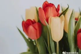 不值得看两次的书也不值得看一次图片