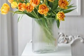 特别推荐 | 花瓶是一个家的灵魂，你必须拥有的3款神仙花瓶图片