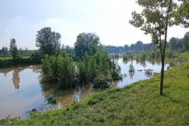 农村的历史水系——池塘的作用图片