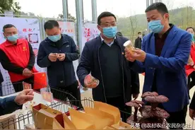 农村农业农民杂志 农旅融合的生动实践——商城县汪桥镇8名领导代言特产侧记图片