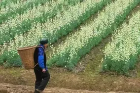 母亲被退役的儿子打瞎右眼……背后故事催人泪下图片