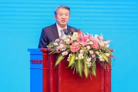 陈东升：再投武汉500亿，打造中国大健康“第三极”图片