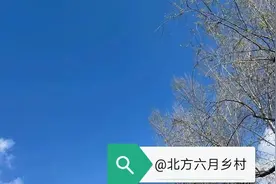 强势婆婆强势媳（3）图片