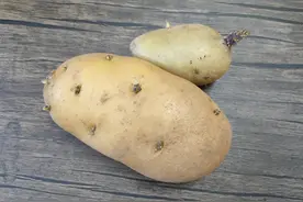 保存土豆有妙招，牢记“1放2不放”，土豆不长芽，半年也鲜美图片