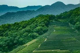 【地评线】京彩好评：廉洁过节须“慎独”“慎微”“慎欲”图片