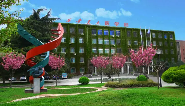 大美交大，每一张都是屏保！还不快保存？