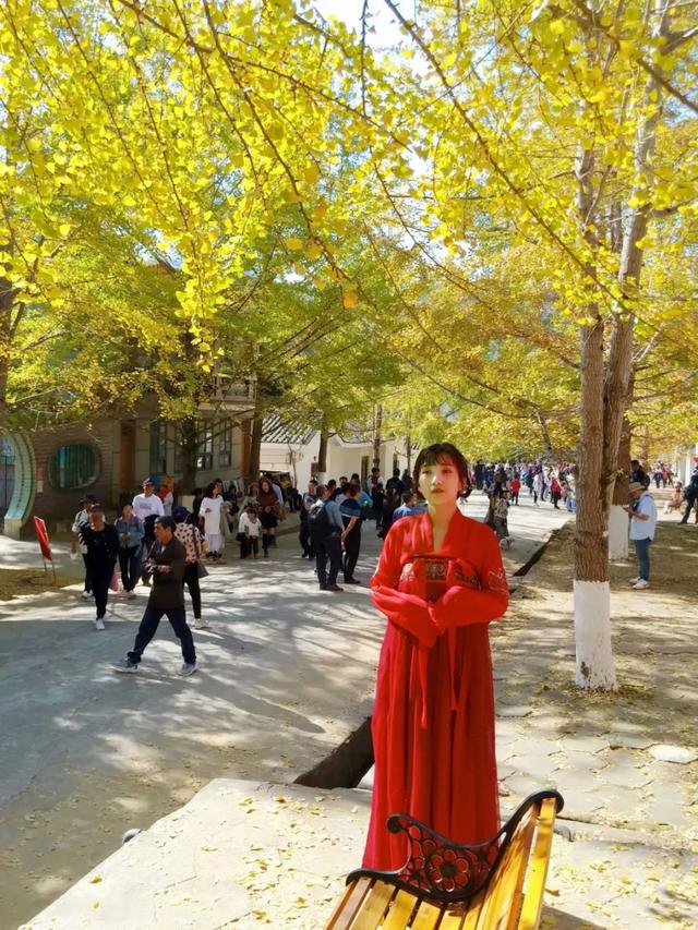 秋风吻尽银杏叶，艳遇醉美帽子峰