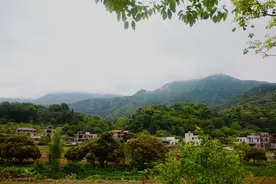 惊喜！罗浮山深处再现摩崖石刻图片
