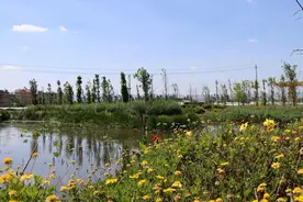 你刷我也刷，嵩明的墙体会“说话”！图片