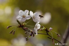 四月天，十件春季好物推荐，宅家出行两相宜哦图片